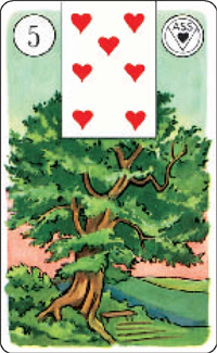 5